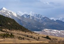 From Livingston To Yellowstone: Best Stops In Paradise Valley