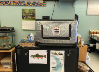Trout in NH Classrooms – InDepthNH.orgInDepthNH.org