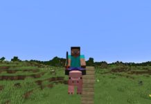 Minecraft Achievement Guide: When Pigs Fly