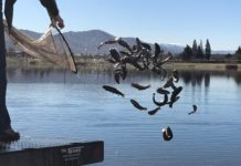 Sparks Marina stocked with 3,000 rainbow trout on Wednesday