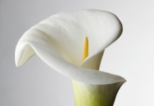 Donald Hodson Sr. | Obituary