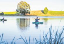 SA trout pulled from invasive species list amid fly-fishing outrage