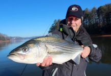 Podcast: How to Catch Freshwater Stripers, with Henry Cowen