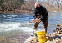 Soaring Eagle Wetland hosts unique opportunity | News, Sports, Jobs