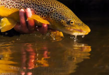 Master Class Monday: It Pays to Be Methodical