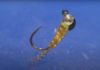 Video: How Nymphs Drift Underwater