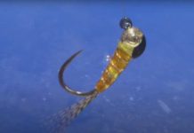 Video: How Nymphs Drift Underwater