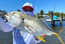 Angler and artist combines passions to create internet music sensation