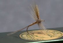 Video: How to Tie a Quill Gordon Dry Fly