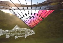 Video Pro Tips: How Do Trout See, Hear, and Smell?