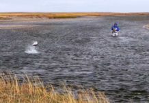 Moment of Thrill 03.15.21 – Orvis News