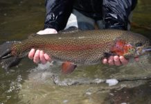 PA Great Outdoors Visitors Bureau Announces 2021 Big Fish Contest – GantNews.com