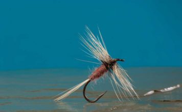 How to Tie a Catskills Classic: The Conover