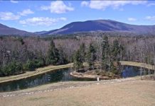 Orvis Job Wall 03.05.21 – Orvis News