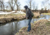 Rainbow trout returning to Austin stream – Austin Daily Herald