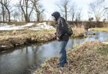 Rainbow trout returning to Austin stream – Austin Daily Herald