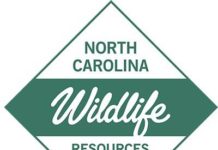 Pechmann Fishing Education Center releases April workshop schedule