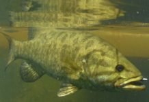 Where in Pennsylvania is rated a top spring fishing spot by fishing guide booking service?