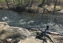 Pandemic lures more people to fishing; Michigan license sales up 32%