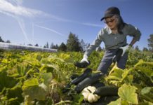 Events calendar April 7-14 | lifestyle