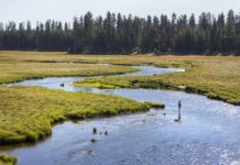 Conditions report for trails, camping, fishing south of Bend | Explore Central Oregon