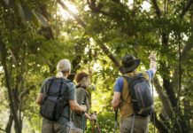 Fising, hiking and birding on tap with Haywood County Rec spring line-up | Outdoors