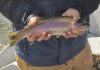 Fishing Report: Ice recedes, streams swell as rainbow spawn nears | Outdoors