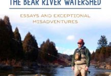 Wading in deep: Cache Valley author stalks fish, facts on Bear River watershed | Outdoors