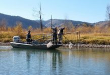 Shocking developments: Fish and Game plans to electrofish 12,000 rainbow trout from South Fork | Local News