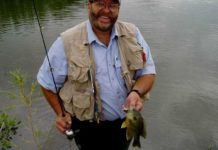 Windham: Bluegills are a good bet for sheer fun | Columnists