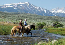 Taking The Reins – Cowboys and Indians Magazine