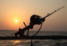 Experience the Most Thrilling Fishing Adventure with Utah Fly Fishing Guides –