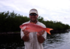 FWC adds species to angler recognition program | News, Sports, Jobs – SANIBEL-CAPTIVA