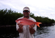 FWC adds species to angler recognition program | News, Sports, Jobs – SANIBEL-CAPTIVA