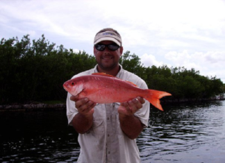 FWC adds species to angler recognition program | News, Sports, Jobs – SANIBEL-CAPTIVA