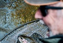Searching for Monster Trout on Georgia’s Soque River – Garden & Gun