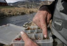 Seven tips for fishing with nymphs – Explore Big Sky