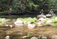 Chattanooga fly fishing companies benefit from new customers during pandemic