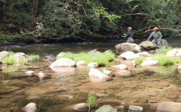 Chattanooga fly fishing companies benefit from new customers during pandemic