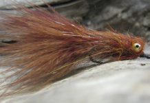 Pro Tips: How to Tie and Fish the Versatile DDH Leech