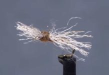 Video: How to Tie the Spent Early Smoky-Winged Caddis