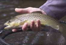 Video: A Master Class in Euro-Nymphing