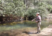 Clear Creek State Park offers a variety of outdoors activities