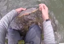 Video: How to Jig Streamers in High, Muddy Water