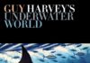 See The Wonders of Our Oceans Through the Eyes of Guy Harvey