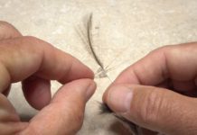 Video: How to Create Perfect Hackle-Fiber Fly Tails
