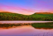 New Community Forest to benefit Kingfield area – Daily Bulldog