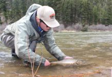 5 Tips for Catch and Release Fly Fishing