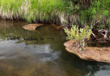 Master Class Monday: How to Fish for Trout Near Sweepers