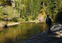 Master Class Monday: How to Deal with Sun and Shade